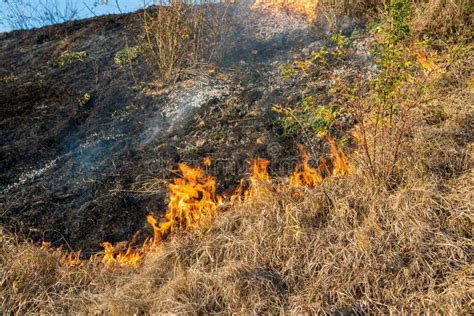 Hot days ahead can increase fire danger with dry vegetation
